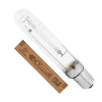 PowerPlant HPS Bulb