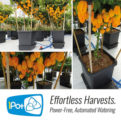 Autopot 1 Pot Extension Kit - 15L