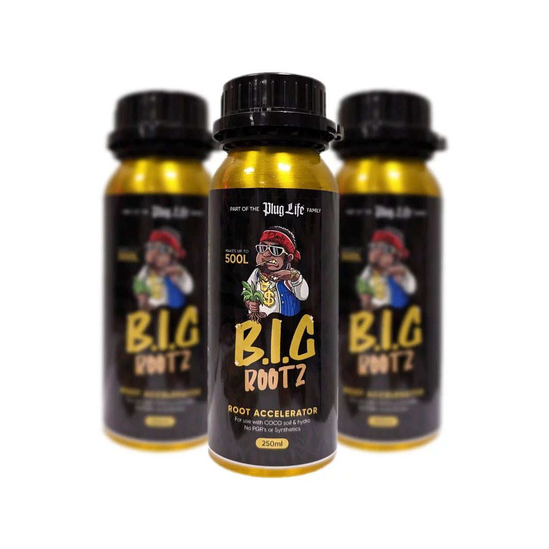 Big Rootz Root Accelerator 250ml – Explosive Root Growth