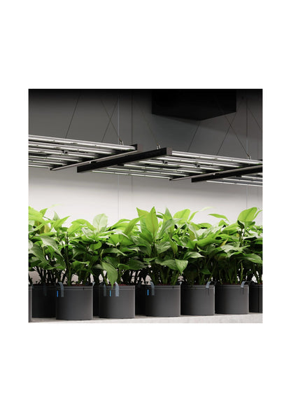 IONFRAME EVO8, Samsung LM301H EVO Commercial LED Grow Light, 730W, 5x5 FT