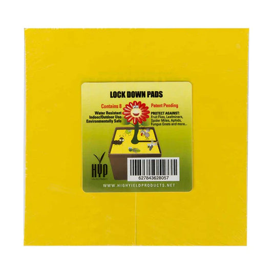 Lock-Down-Pads 6" quadratisch - 5er-Pack